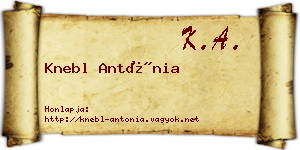 Knebl Antónia névjegykártya