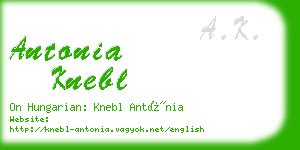 antonia knebl business card